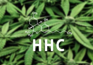 Cum se produce HHC? Călătoria cânepei prin junglă, de la originile sale botanice până la hidrogenarea și structura chimică a HHC