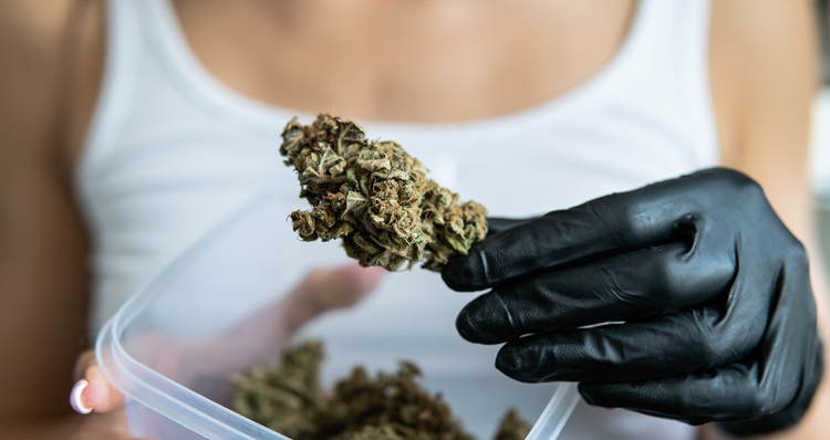 THCP vs. THCV: Unterschiede und Wirkungen dieser Cannabinoide