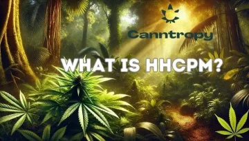 Selva de cânhamo e texto: O que é o HHCPM, logótipo da Canntropy acima
