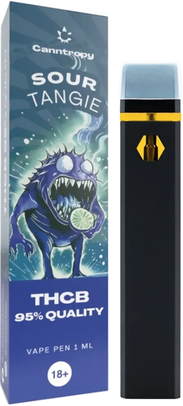Canntropy Stylo à vape jetable THCB Sour Tangie, qualité THCB 95 %, 1 ml