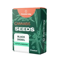 Canntropy Sementes Black Diesel (Feminizadas)