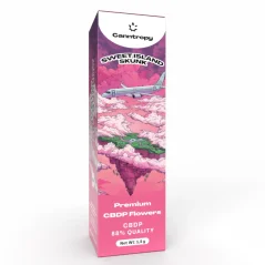 Canntropy CBDP Prerolls Sweet Island Skunk, CBDP 88% quality, 1 g