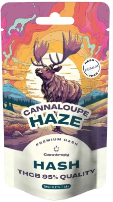 Canntropy THCB Hash Cannaloupe Haze, THCB 95%-os minőség, 1 g - 5 g