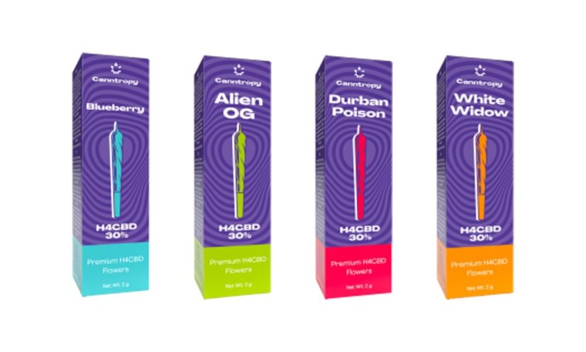 Canntropy Pacchetto preroll H4CBD, set tutto in uno - 4 x 1 pz.