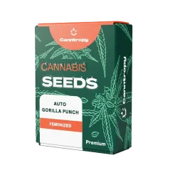 Canntropy Sementes Auto Gorilla Punch (Autoflorescentes)