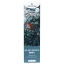 Canntropy 10-OH-HHCP Vape Pen Blackberry Kush, 10-OH-HHCP 94% quality, 1 ml