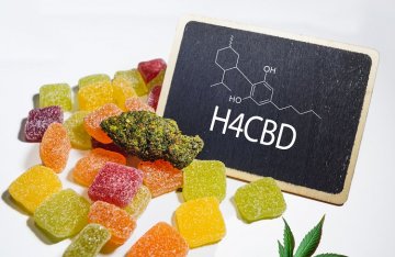 H4CBD and its effects