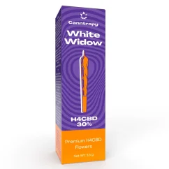 Canntropy H4CBD Prerolls White Widow, 30 % H4CBD, 1 g