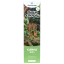 Canntropy CBNO Ατμόλουτρο μιας χρήσης Sour Tangie, ποιότητας CBNO 94%, 1 ml