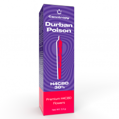 Canntropy H4CBD Prerolls Durban Poison, 30% H4CBD, 1,5g
