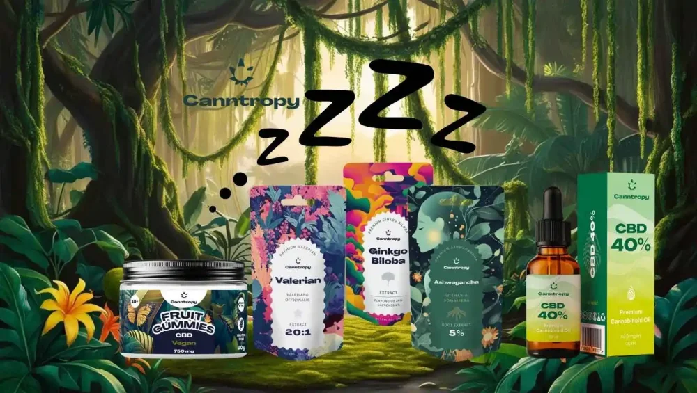 Produits cannabiques comme les gommes de CBD, l'ashwaganda, le ginkgo biloba, la valériane et l'huile de CBD qui peuvent aider à lutter contre l'insomnie.