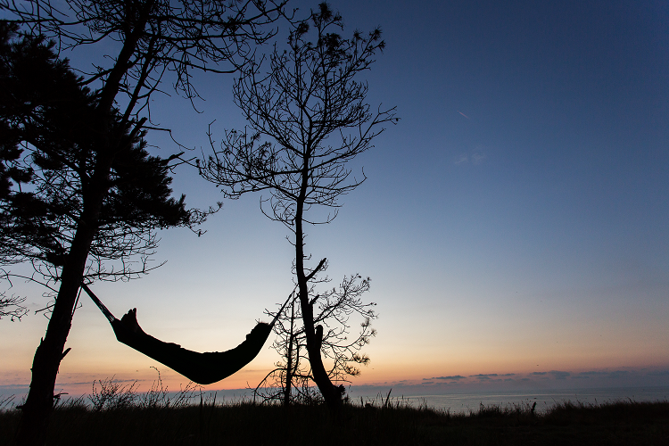 A man lies in a hammock under a tree as he feels the relaxing effects of 10-OH-HHC